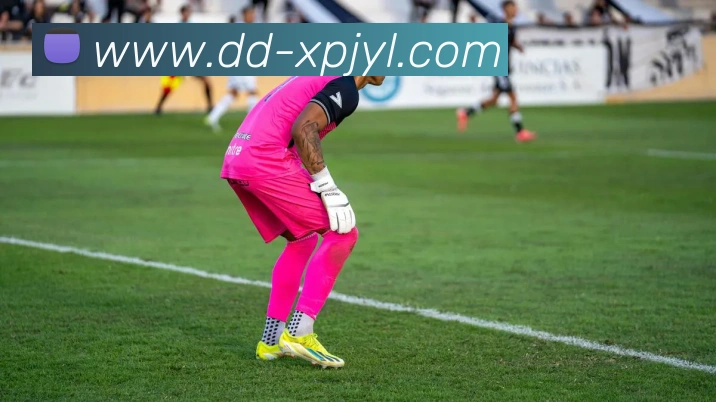 澳门新葡京娱乐APP 高清赛事图